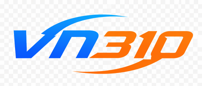 VN310 Logo